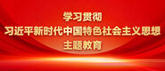 美女被干出水学习贯彻习近平新时代中国特色社会主义思想主题教育_fororder_ad-371X160(2)